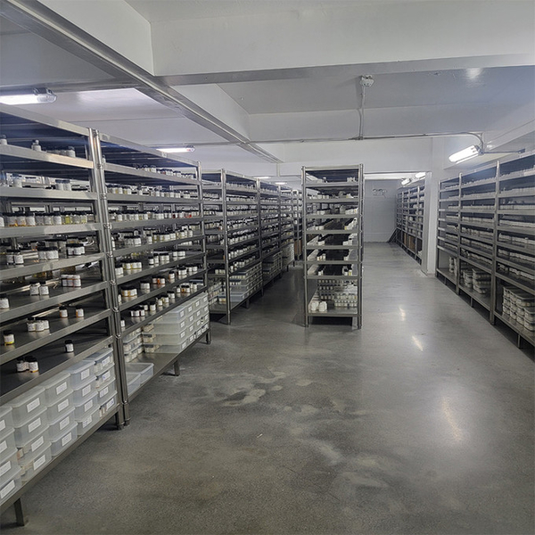 Guangzhou plant fragrance Co., Ltd خط تولید تولید کننده