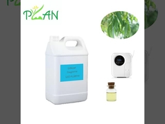 عطر پخش کننده یوکالیپتوس خالص طبیعی فرانسه عطر روغن درخت چای