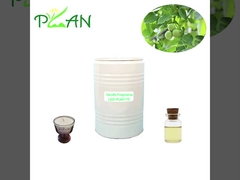 نمونه های رایگان روغن خالص چوب گردو جوهر زرد مایع شمع روغن عطر