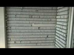 روغن عطر اسپورت پولو