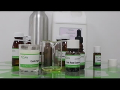 نمونه های رایگان شمع عطر دار گلابی عطر گل رز Essence Eco Friendly