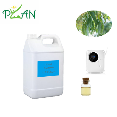 عطر پخش کننده یوکالیپتوس خالص طبیعی فرانسه عطر روغن درخت چای