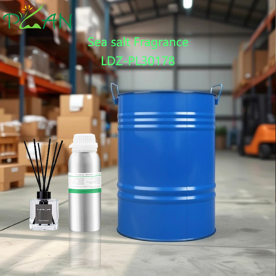 Concentrated Sea Salt Air Freshener Fragrance Oil for Diffusers