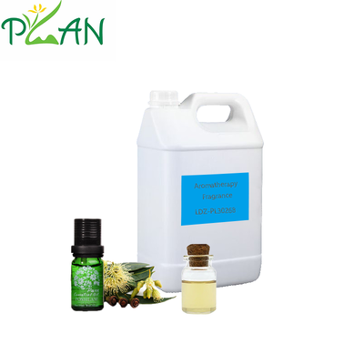 عطر پخش کننده با نمونه رایگان روغن عطر رزماری و اکالیپتوس برای چوب نی و شمع معطر سرد و پخش کننده عطر ساخت/تولید